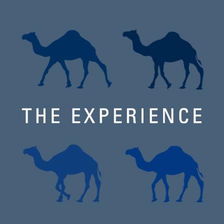 The Experience Blog