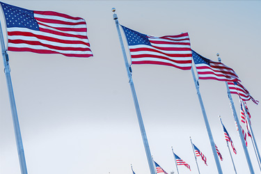 Image of American flags blowing in wind