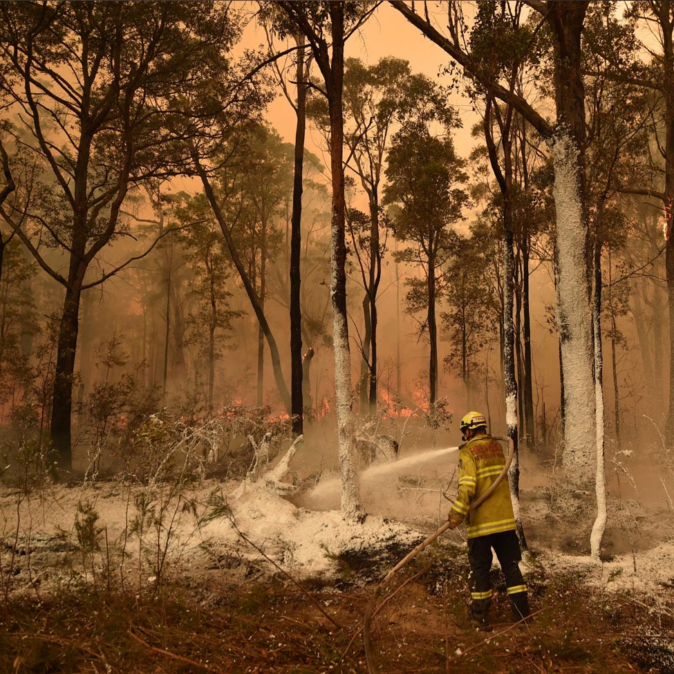 Image of firefighter putting out fire in the forest