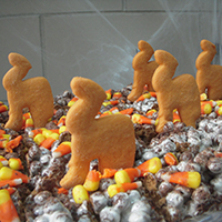 Camel cookies for halloween