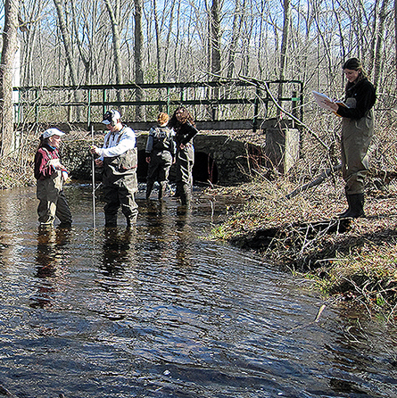 Students collect water samples at Pendleton Hill Brook in Connecticut as part of Physics, Astronomy and Geophysics Professor Doug Thompson's 