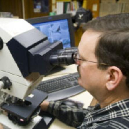 Professor Peter Siver looks at microscopic remains with a high powered microscope.