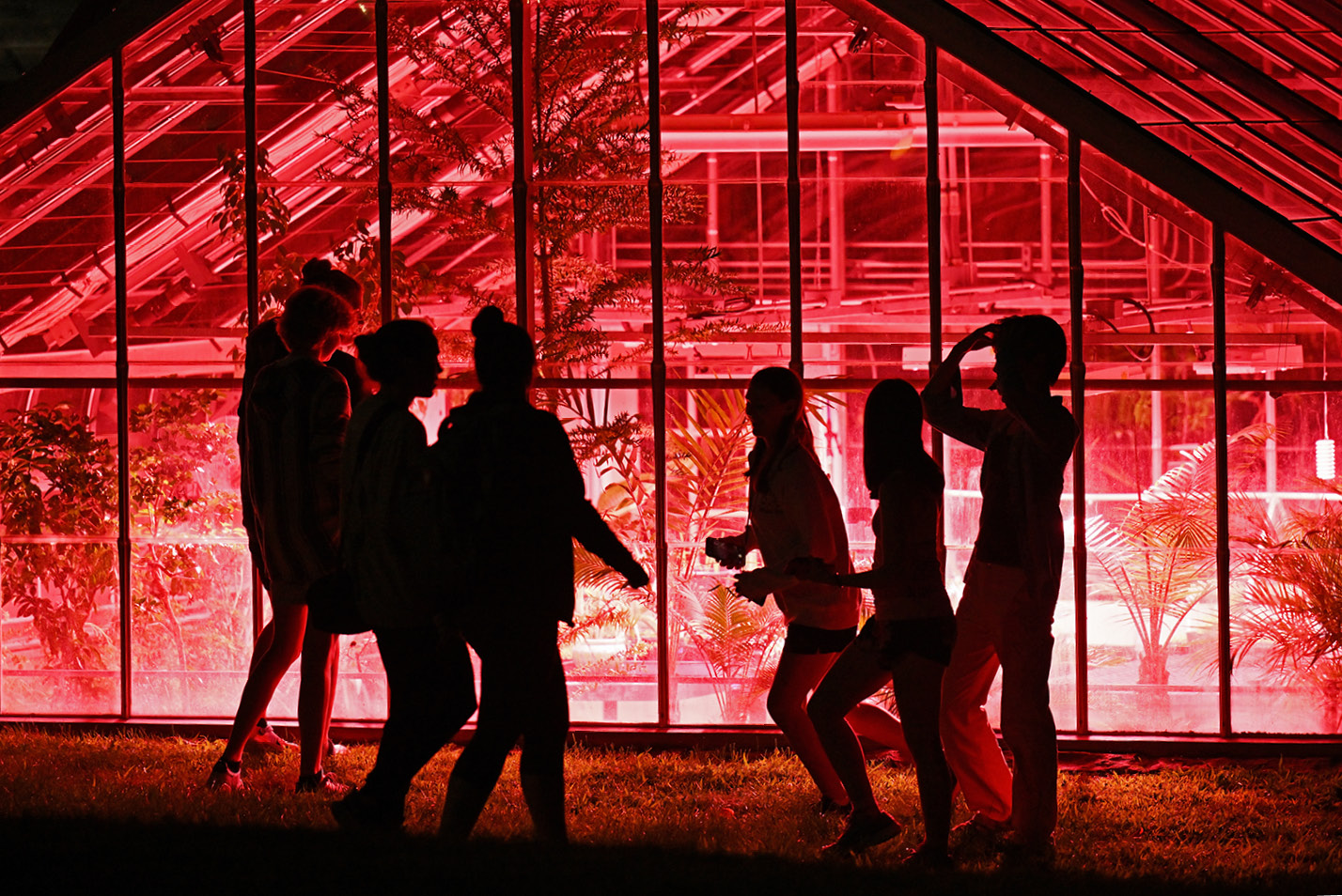 Students silhouetted in front of the green house at night.