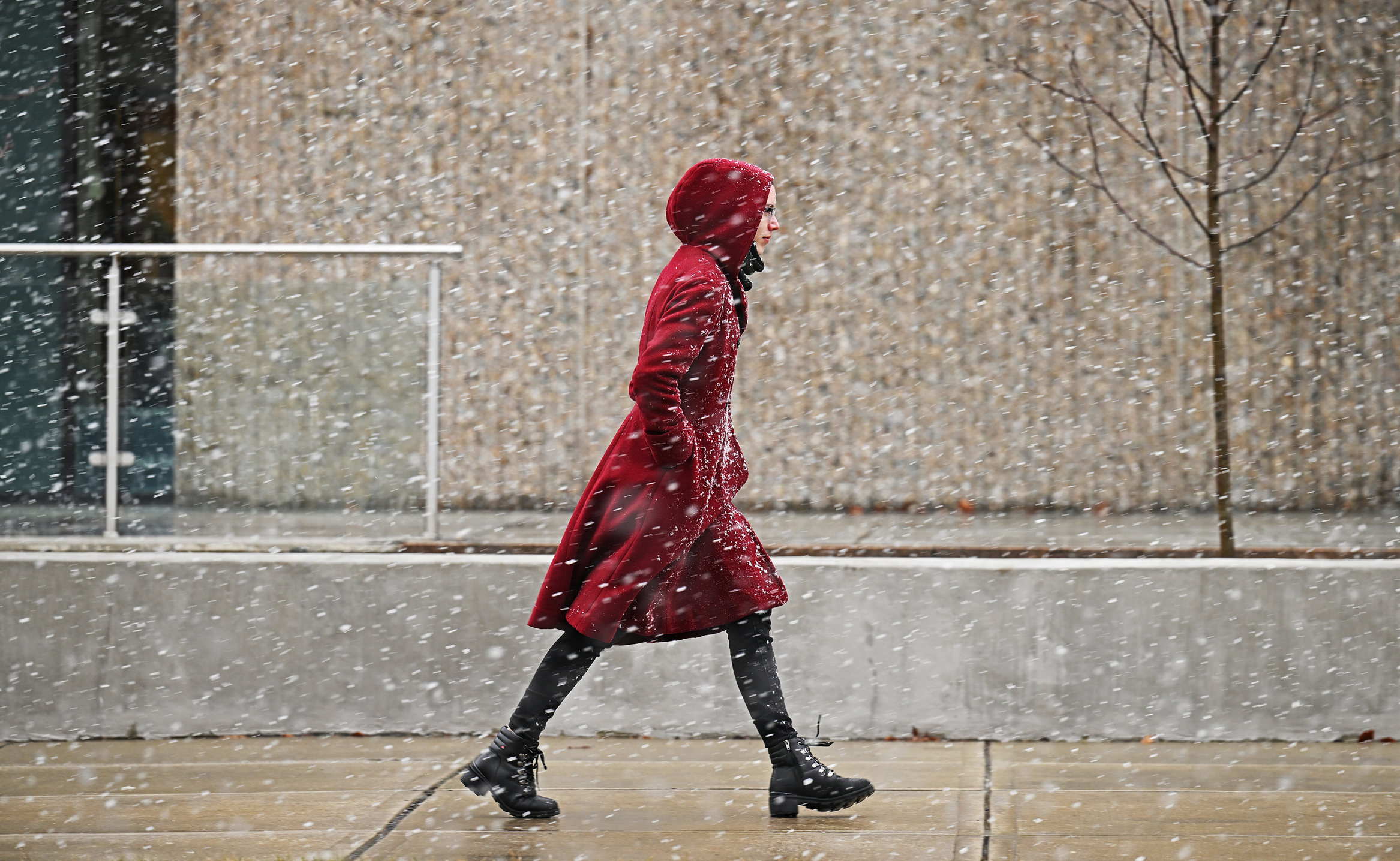 A student walks past Shain Library through the snow.