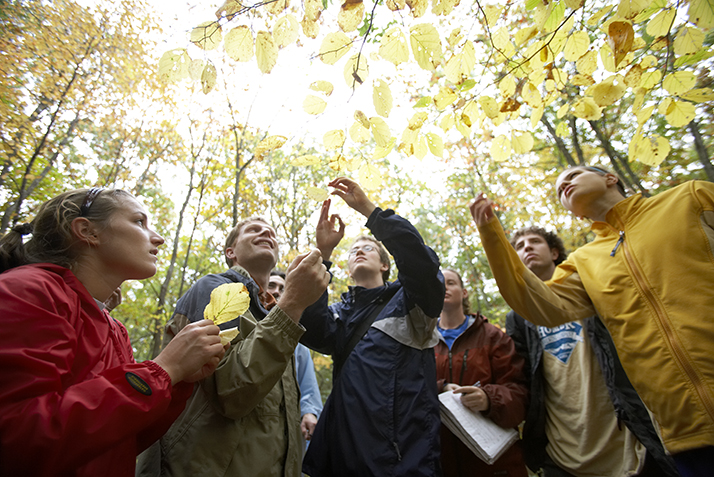 Students and a professor examine leaves in the arboretum