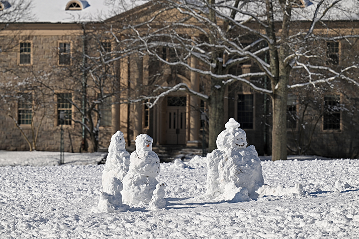 snow people on a field