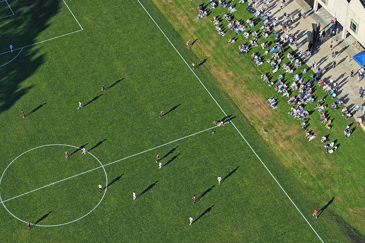 aerial view of a soccer pitch and a hillside of fans watching.