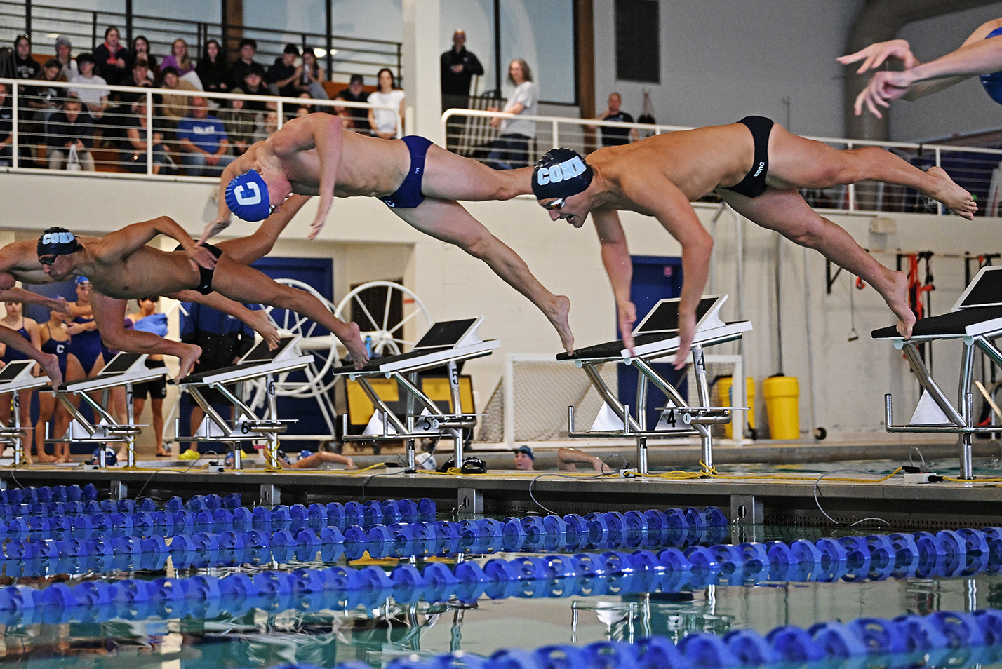 Swimmers take off from the blocks to start a race.