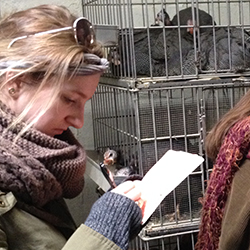 Dayna McCoubrey '14 takes notes during a tour of the Madani Halal slaughterhouse in Queens. 